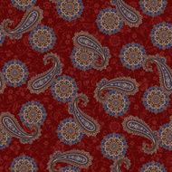 pattern paisley N62