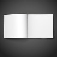 Blank Open Book N20