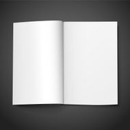 Blank Open Book N21