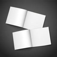 blank open books N5