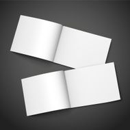 blank open books N6