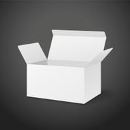 blank carton with soft shadow N2