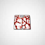 Abstract illustration on shorts N6