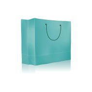 Empty Shopping Bag for advertising and branding N2