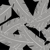 Feather Seamless Background N2