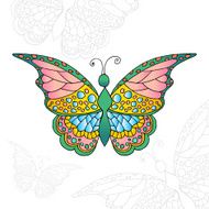 butterfly N24