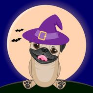 Halloween N75