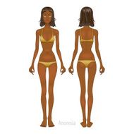 Fat and thin woman vector illustration normal anorexia body