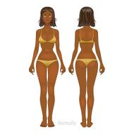 Fat and thin woman vector illustration normal anorexia body N2