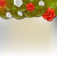 Rose background N3