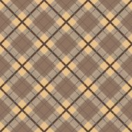 brown scot 1