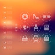 fashion infographic with unfocused background N17