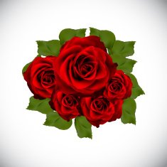 Realistic Rose High Quality Vector Illustration N3
