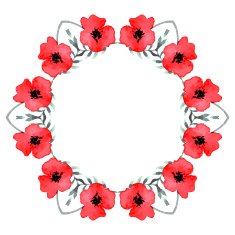 Stylish Floral Card in Vector N5