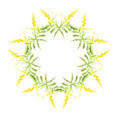 Stylish Floral Card in Vector N7