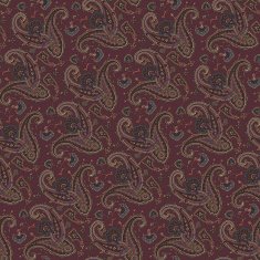 pattern paisley N19