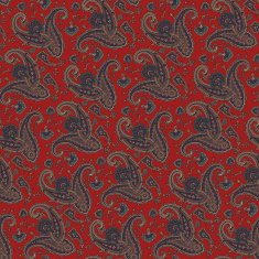 pattern paisley N20