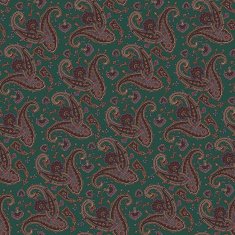 pattern paisley N21