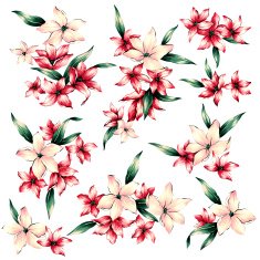 Floral Design N14