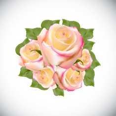 Realistic Rose High Quality Vector Illustration N5