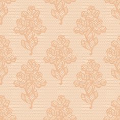 Vintage lace background ornamental flowers Vector texture N2