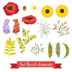 Vector floral set Collection leaves and flowers