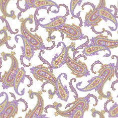 pattern paisley N23
