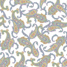 pattern paisley N24