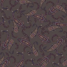 pattern paisley N25