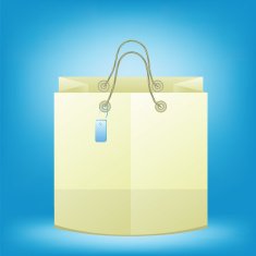 Paper Bag N6