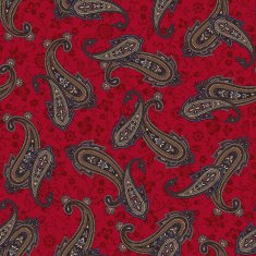 pattern paisley N28