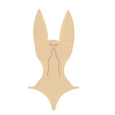 Lingerie N7