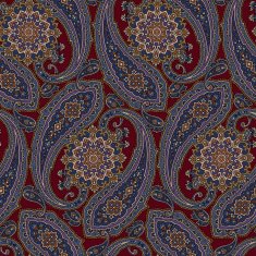 pattern paisley N37