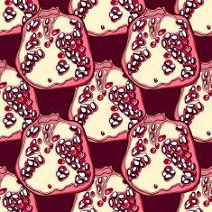 Pomegranade vector pattern
