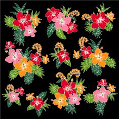 picture of Hibiscus