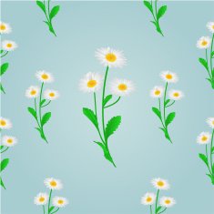Seamless texture daisy spring background vector