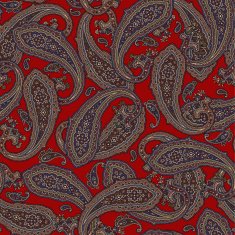 pattern paisley N47