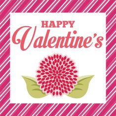 Valentines Day N45