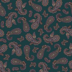 pattern paisley N53