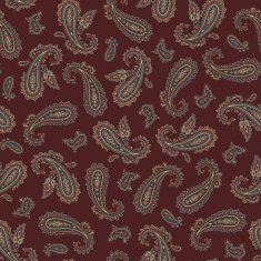 pattern paisley N54