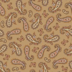 pattern paisley N55