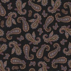 pattern paisley N58