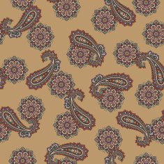 pattern paisley N61