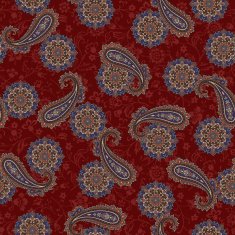 pattern paisley N62