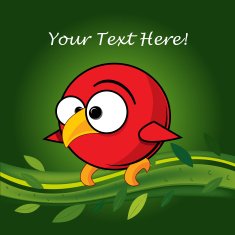 vector funny bird N2