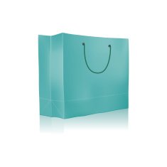 Empty Shopping Bag for advertising and branding N2