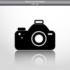 Vector photo camera web icon N2