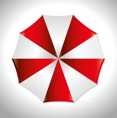 Umbrella design over white background vector illustration N2