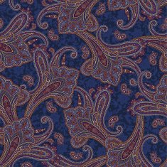 pattern paisley N67
