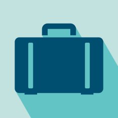 luggage icon N17